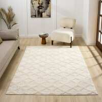 Read Land Of Rugs Reviews